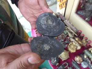 Another broken Shaligram. In fact, almost no shopkeeper sold undamaged stones.