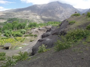 The black shale Shaligram bed.