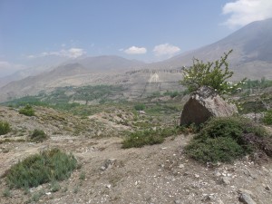 The view taken from just outside Ranipauwa.