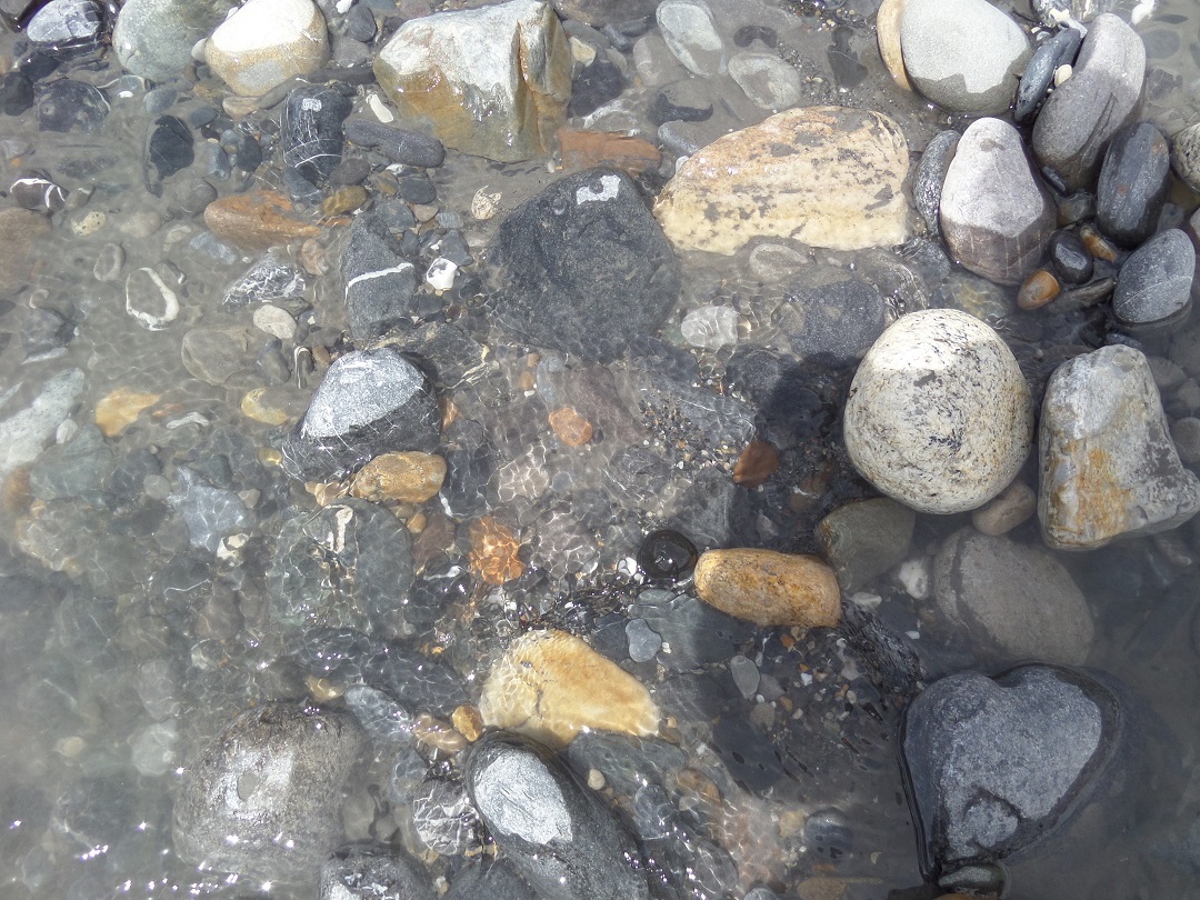 The Phenomenology Of Shaligram Hunting Peregrination