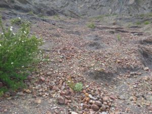 Fossil wash-out near Jhong village.