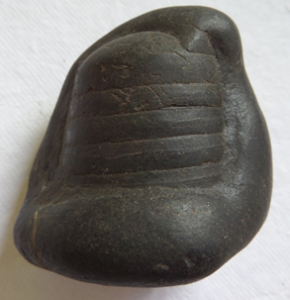 Shiva Linga Shaligram